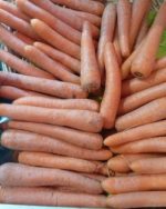 Grâce à la carotte, faites le plein de vitamine A !