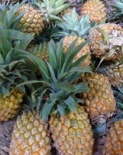Nutrition : l'ananas, pour conjuguer plaisir et équilibre
