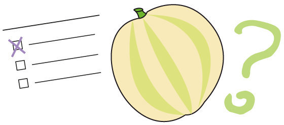 Quiz n°47 - le melon