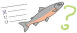 Quiz n°68 - le saumon