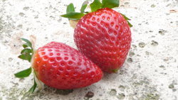 Nutrition - La fraise : profitez de sa vitamine C