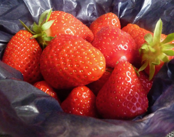 Nutrition - les 5 atouts de la fraise